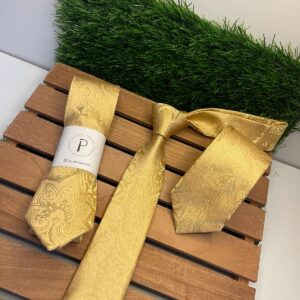 Gravata Kashimir Panorama